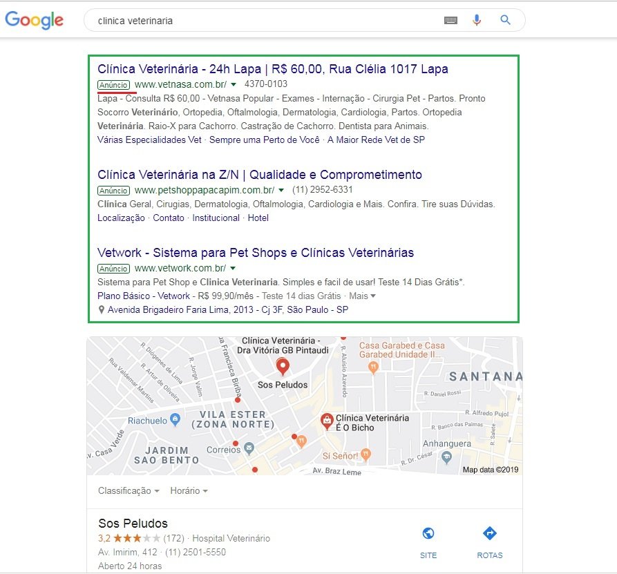 SEO para veterinários