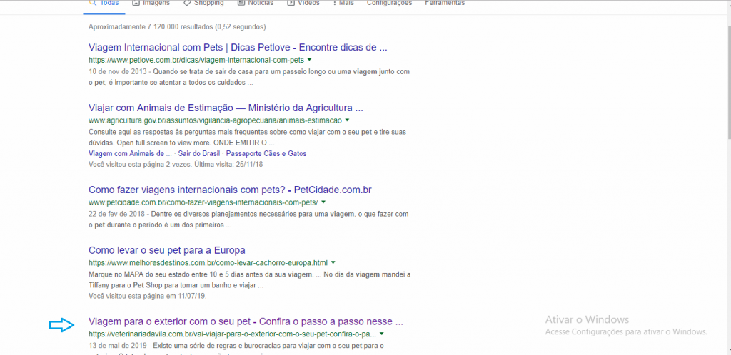 SEO para veterinários - buscas no google